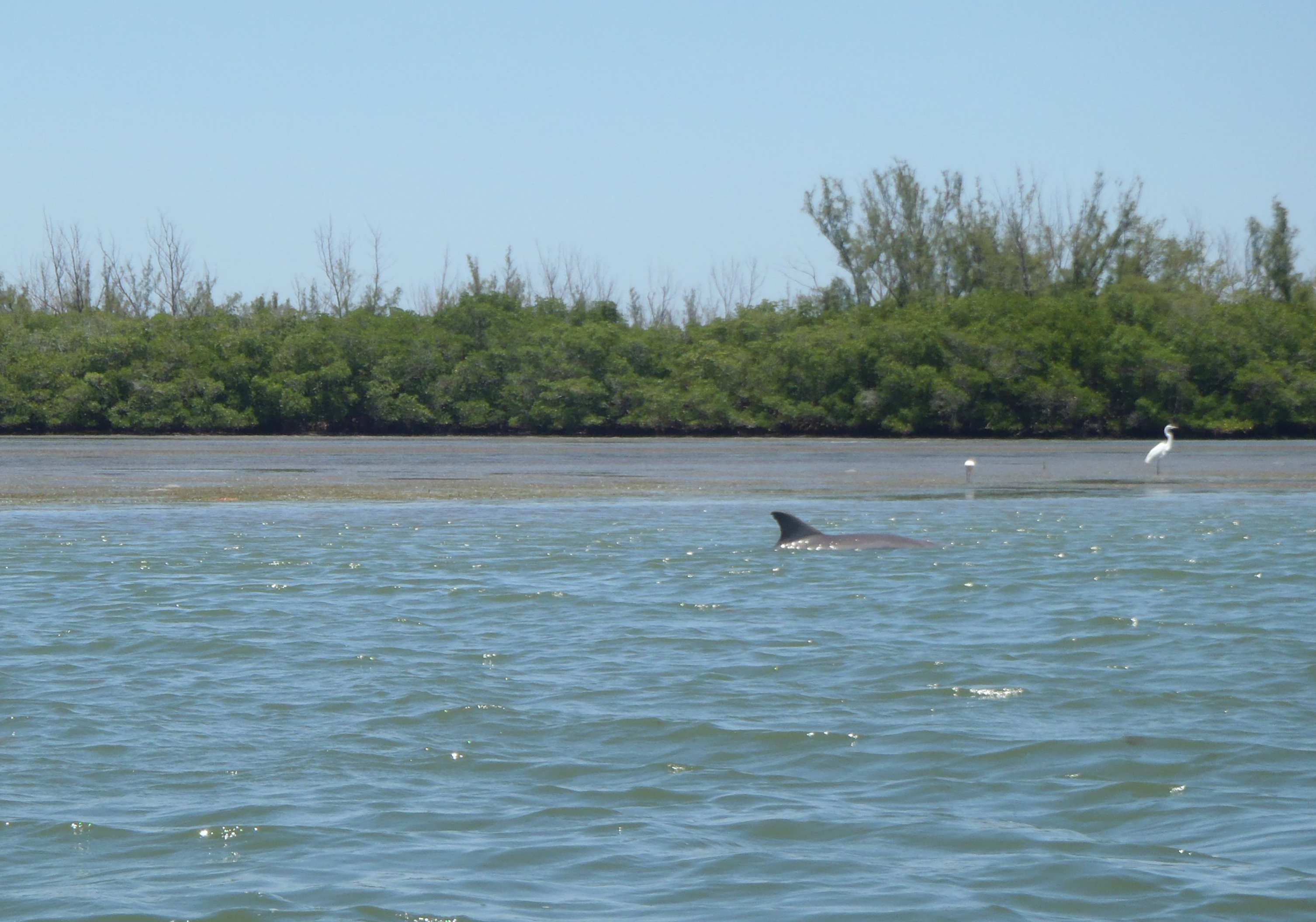 Photo of Indian River Lagoon